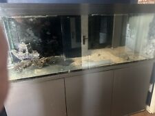 Aquarium fish tank for sale  LINCOLN