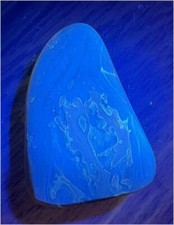 Natural fluorescent fossilized for sale  Vail