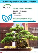 SAFLAX - Zestaw prezentowy - Bonsai - Modrzew Europejski - 75 Posiew, używany na sprzedaż  Wysyłka do Poland