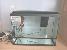 Hot water fish for sale  UK