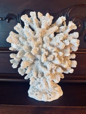 White coral tabletop for sale  Larrabee