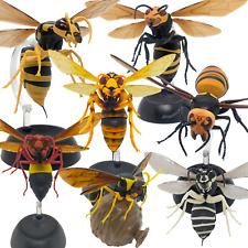Boneco de ação Bandai Gashapon Hornet Wasp Bee com base de exibição do vendedor JP, usado comprar usado  Enviando para Brazil