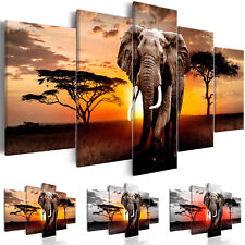 Canvas print elephant for sale  Shipping to Ireland