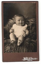 Fotografie wilh schroers gebraucht kaufen  Berlin