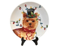 Highland hounds yorkie for sale  Roswell