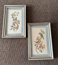 Bird lithograph framed for sale  Bristol