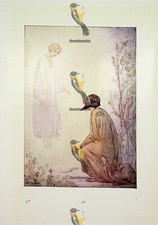 Joseph told beautiful for sale  BOURNEMOUTH