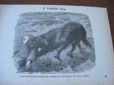 1898 original art for sale  Hewitt