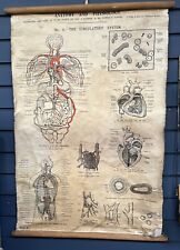 Vintage medical poster for sale  STAFFORD