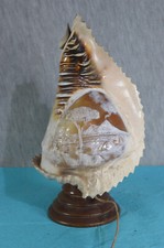 Muschel lampe muschellampe gebraucht kaufen  Winterbach