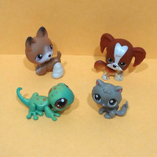 Hasbro little pet usato  Roma