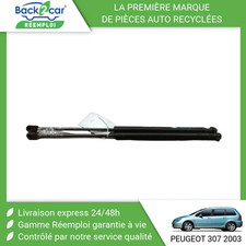 Verin hayon peugeot d'occasion  Saint-Quentin