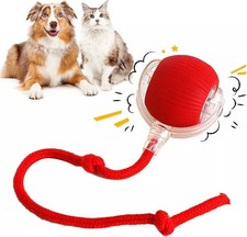 Elektrisch katzen ball gebraucht kaufen  Ginsheim-Gustavsburg