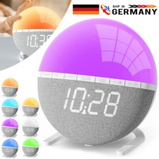 Lichtwecker tageslichtwecker w gebraucht kaufen  Aspisheim, Grolsheim