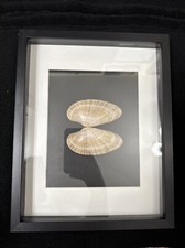 Handmade sea shell for sale  Manchester Township