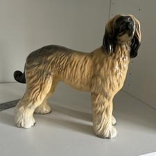 Large afghan hound for sale  BIRMINGHAM