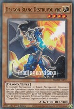 Dragon blanc destruvouivre d'occasion  Argenteuil