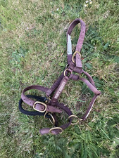 Monty roberts medium for sale  ROCHFORD
