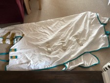 Shires tempest plus for sale  EXETER