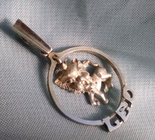 Anhänger silber löwe gebraucht kaufen  München