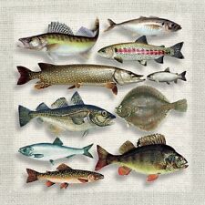 Servietten verschiedenen fisch gebraucht kaufen  Frankfurt am Main