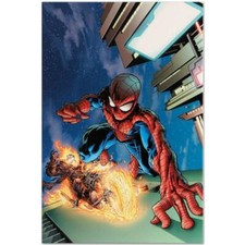 Marvel Comics "Timestorm 2009/2099 #4" edição limitada numerada giclée sobre tela comprar usado  Enviando para Brazil