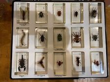 Insects resin case for sale  LONDON