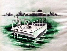Pontoon boat party for sale  Diamond Point