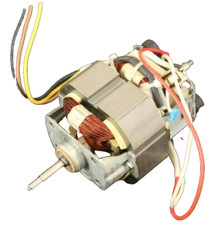 Motore philips essence usato  Nettuno