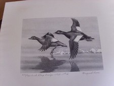 1969 federal duck for sale  Coloma