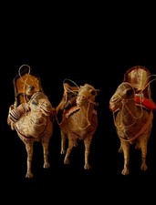 Animali presepe dromedari usato Animali presepe dromedari usato  Gragnano