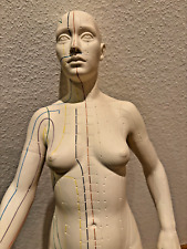 Scientific akupunktur figur gebraucht kaufen  Braunschweig