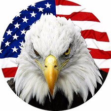Eagle flag spare for sale  Erlanger