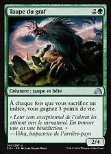Mtg magic graf d'occasion  Mauléon-Licharre