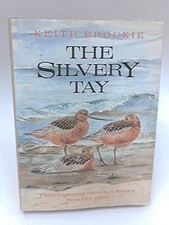Silvery tay paintings for sale  ROSSENDALE