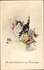 Glückwunsch namenstag katze gebraucht kaufen  Berlin