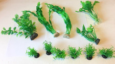 Assorted aquarium fish for sale  Laguna Hills