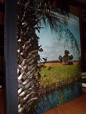 Everglades florida archie usato  San Giorgio di Piano