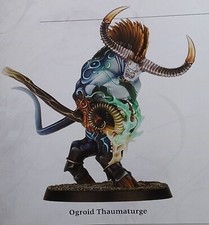 Warhammer warriors chaos for sale  ISLE OF LEWIS