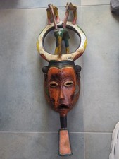Large ivory coast for sale  Princeton Junction
