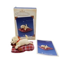 mix puppy lab for sale mix puppy lab for sale Phoenix