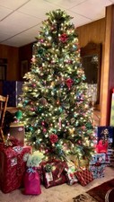 light tree for sale  Foster