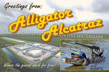 Novelty post card for sale  Midland