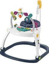 Fisher price baby for sale  Leonard