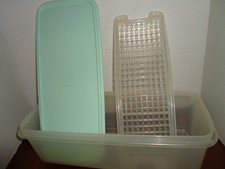 Vtg tupperware vegetable for sale  Rochester