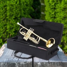 Glarry school band for sale  Flanders