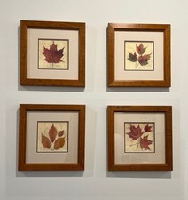 Set beautiful framed for sale  Fredericksburg