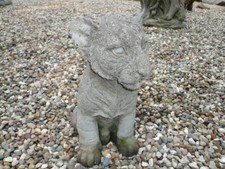 Beautiful baby lion for sale  Carmi