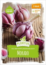 Flortus 2000 2453 gebraucht kaufen Flortus 2000 2453 gebraucht kaufen  Keltern