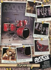 1998 print ayotte for sale  Painesville